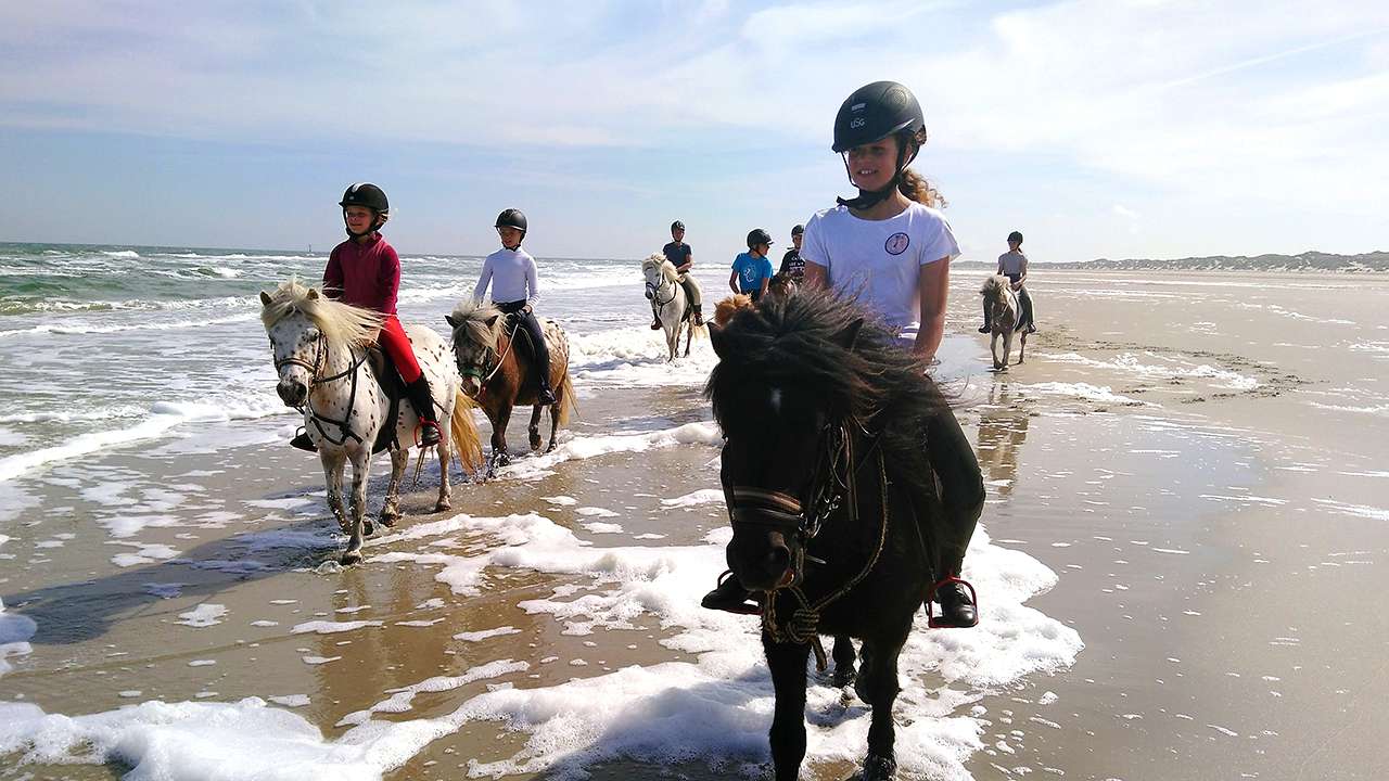 Met de pony's over het strand van Terschelling